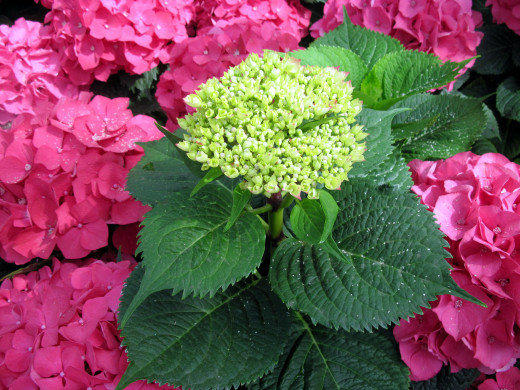 995670 (a): :2560x1920